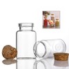 ICSTM Glass Bottles with Cork,2 Pack 4.5 OZ Empty Clear