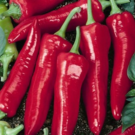 Big Jim Hot Pepper Garden Seeds - 1 Lb - Non-GMO, Heirloom Vegetable Gardening Seeds