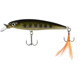 Rapala XR10 Currican X-Rap, MD