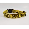 Service Dog in Training Dog Collar