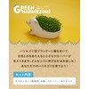 ToyLab TOY-8-02 Grow Clover Cultivation Kit, Green Hedgehog