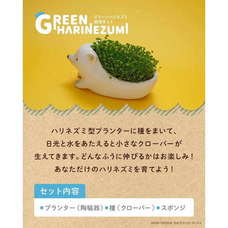 ToyLab TOY-8-02 Grow Clover Cultivation Kit, Green Hedgehog