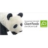 Giant Panda Plastic Model