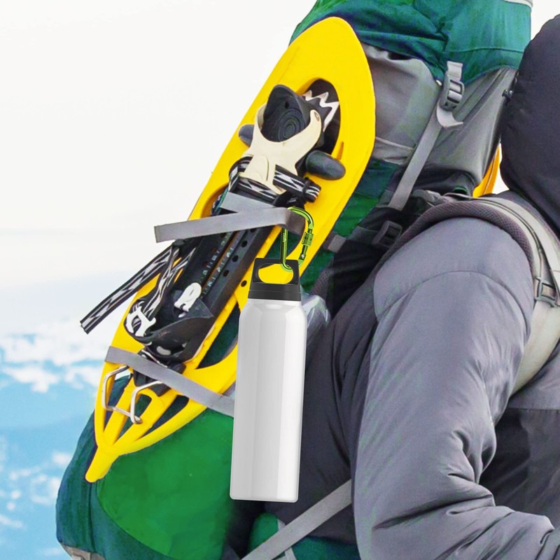 Zalava 6 pcs 2”D-Clip Durable Locking Carabiner Keychain Clip,Keychain Clip