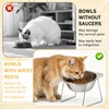 AIHSUMC Elevated Cat Bowls 3 Pack, 15° Tilted Raised Cat