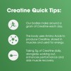 Optimum Nutrition Optimum Nutrition 100% Pure Creatine Monohydrate Micronized Powder,