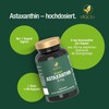 Vitactiv Astaxanthin 8 mg Capsules - 60 Caps (2 Months)