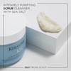 Kerastase FUSIOSCRUB Energy Scrub 325 ml (Pack of 1)