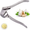 Professional Kitchen Garlic Press/Mincer/Crusher, Kitchen Ginger Crusher Mincer Chopper, User-Friendly