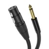 Yinker 3 m XLR to Jack 6.35 mm Female Microphone