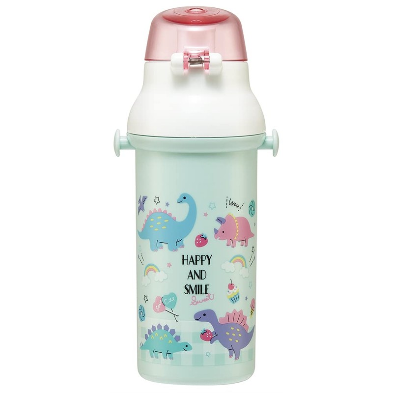 Skater PSB5SANAG-A Rainbow Water Bottle, 16.9 fl oz (480 ml),