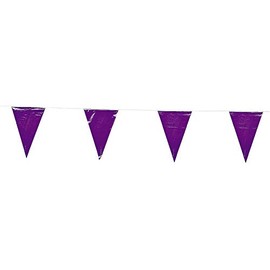 100 Ft Purple Pennant Banner 48 Flags Party Event Toy