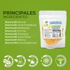 Pack 2 Bolsas Complejo B+b12 Pasiguaro con 150 cápsulas sin