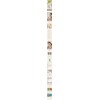 [Baby 31 Degrees] Immunity Zero Cypress Mist 200ml / [아가31도]