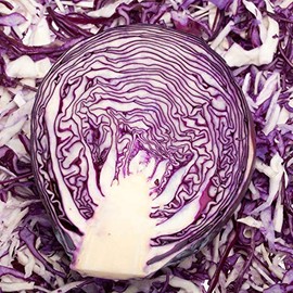 1000 Mammoth Red Rock Cabbage Seeds for Planting Heirloom Non-GMO 5+ Grams Garden Vegetable Bulk Survival Hominy