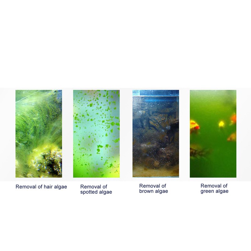 Aquarium Magnetic Algae Scraper Multipurpose Small Magnetic Glass Cleaner for