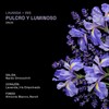 Desodorante Natural Lavanda e Iris en Barra Para Axilas y