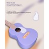 Winzz AU-C00 Concert Ukulele Beginner Set for Adults and Children,