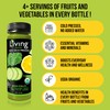 O2 Living Green Vitality Organic Juice Drink - 4oz -