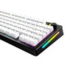 Glorious Gaming - GPBT Basics (PBT Keycaps), Classic White, No