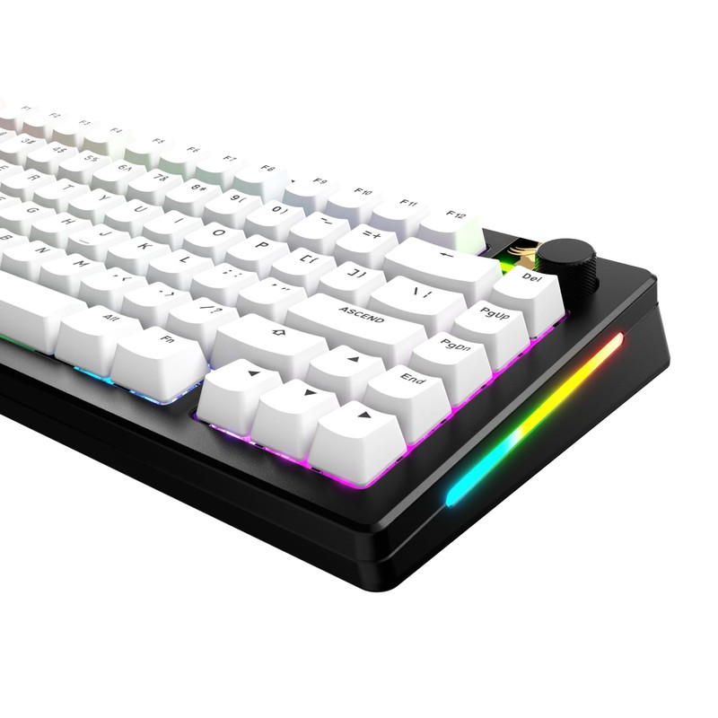 Glorious Gaming - GPBT Basics (PBT Keycaps), Classic White, No