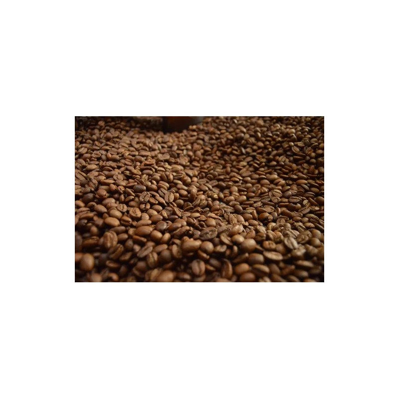 Café Veracruzano Artesanal 100% Arábica Calidad Exportacion