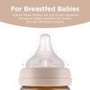 MOYUUM PPSU All in One Baby Feeding Bottle, 6oz, Stage