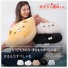 Koizumi Lifetex Co., Ltd. Welcome Sonoda-kun Marumochi Special Cushion Kurobe-kun