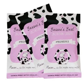 Bessie's Best Lactation Support Cookies - Soft PB Chocolate Chip Lactation Cookies, Lactation Snacks & Breastfeeding Cookies Breast Milk Supply Boost Lactation Cookies for Increased Breast Milk 9 Count