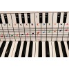 QMG Piano and Keyboard Note Chart, Ideal Visual Tool for