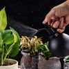 500ml Watering Pot Vintage Hand Press Spray Bottle Garden Balcony