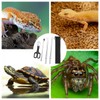 Reptile Feeding Tools Kit, Stainless Steel Reptile Feeding Tweezers, Reptile