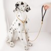 CaptainSteeL Stainless Steel Dog Leash and Collar, 3ft/4ft, 5mm 1m/1.2m