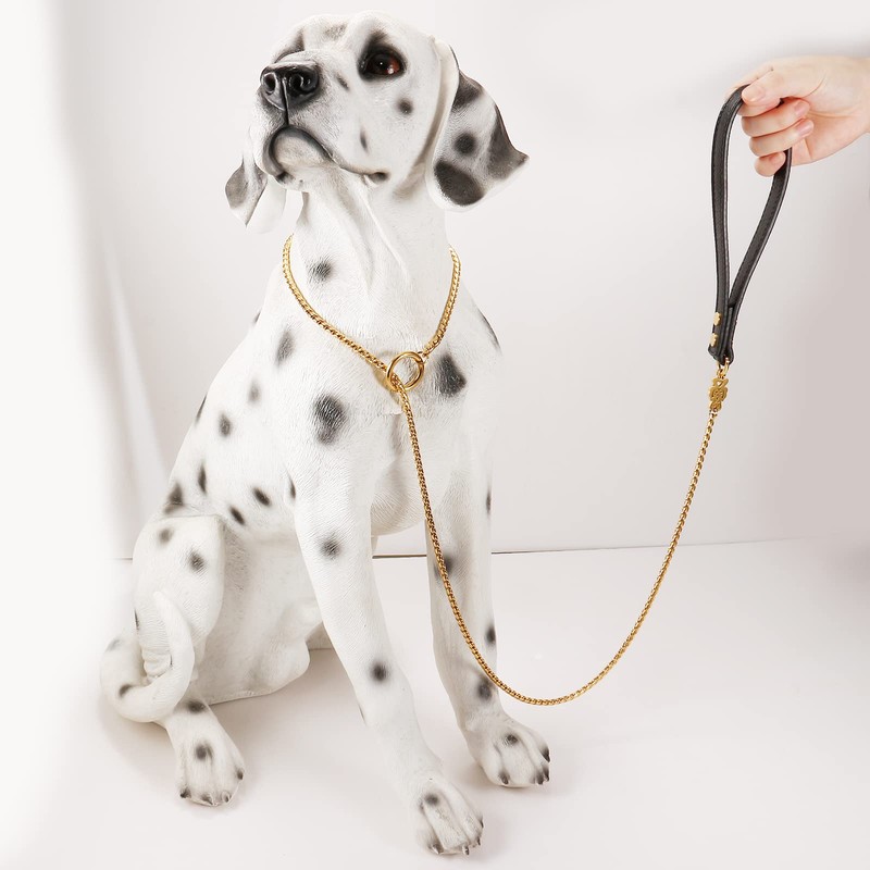 CaptainSteeL Stainless Steel Dog Leash and Collar, 3ft/4ft, 5mm 1m/1.2m