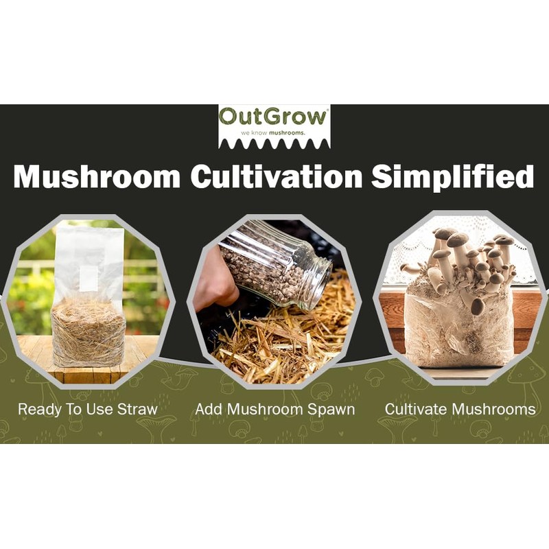 Pasteurized Wheat Straw Mushroom Substrate (5lbs)