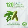 BE NAT | MORINGA HOJA | 120 cápsulas Veganas de
