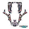 Kalair GFX Graphics Kit for Honda TRX 300EX (1993-2006) Vizion