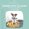Dragonfly Products Puppy Bully Sticks for Puppies & Toy Breeds,