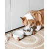 LE TAUCI LE TAUCI Dog Bowl Set with Acacia Wood