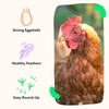 Grubblies - Black Soldier Fly Larvae for Chickens - Chicken