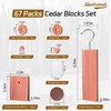 Cedar Blocks for Clothes Storage 67 Pack, Cedar Chips, Cedar