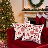 Tosleo Christmas Throw Pillow Cover 18 x 18 inch Set