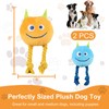 lilfrd Dog Toys for Small Dogs - 2 Pack Squeaky