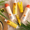 LECHE HIDRATANTE BRONCEADORA Facial Y Body with Zanahoria aceite SPF