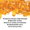 Transforme Omega 3 Fish Oil 1000mg 365 Softgels, Pure High