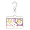 Marimo Craft Pom Pom Pudding, Team Pun Acrylic Key Chain,