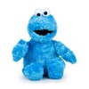 Sesame Street 38 centimetre Cookie Monster Soft Plush Toy