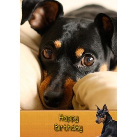 Miniature Pinscher Dog Birthday Card