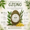 Jabón Orgánico Ozonizado Con Neem Y Vit E