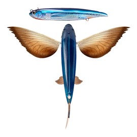 Nomad Design Slipstream 280 Flying Fish California 11" Floating Lure - Oceanic